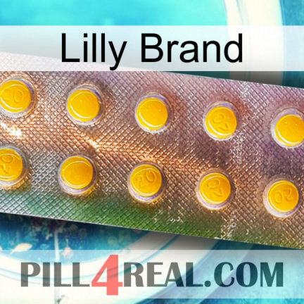 Lilly Brand new11